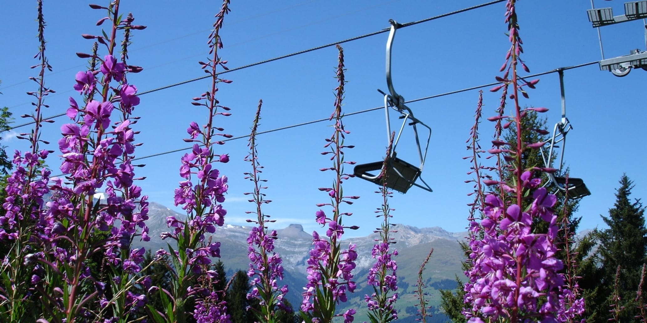 Bergbahnen Obersaxen Mundaun Val Lumnezia im Sommer