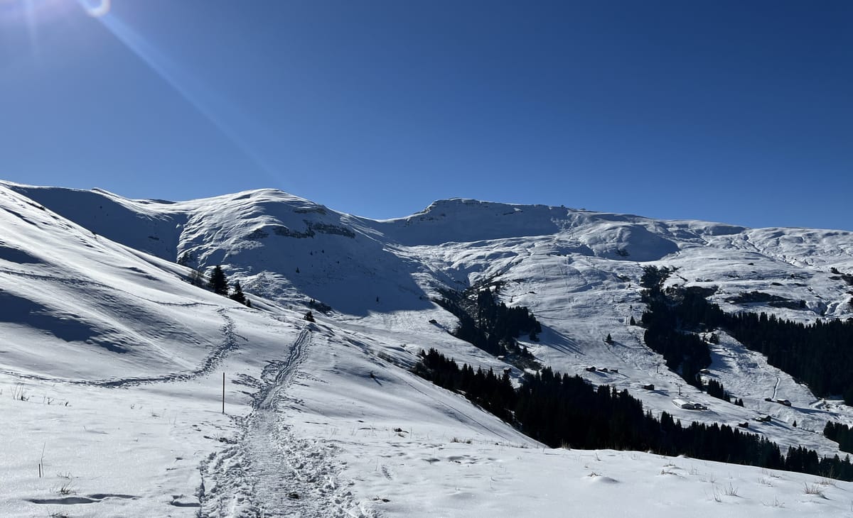 Winterwanderweg bei strahlend blauem Himmel